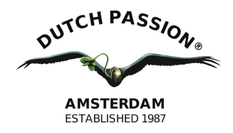 DUTCH PASSION