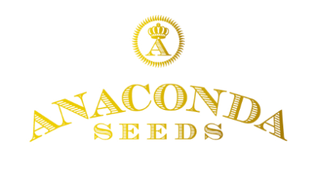 ANACONDA SEEDS