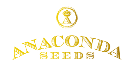 ANACONDA SEEDS