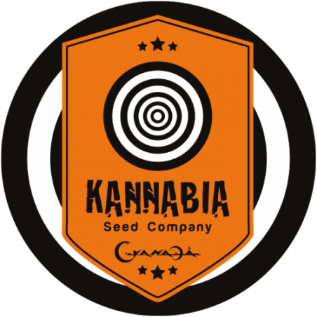 KANNABIA SEEDS COMPANY