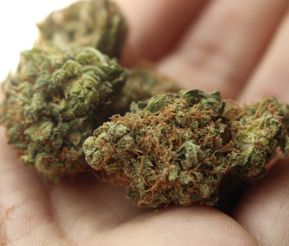 Dolegliwości na jakie pomaga medyczna marihuana