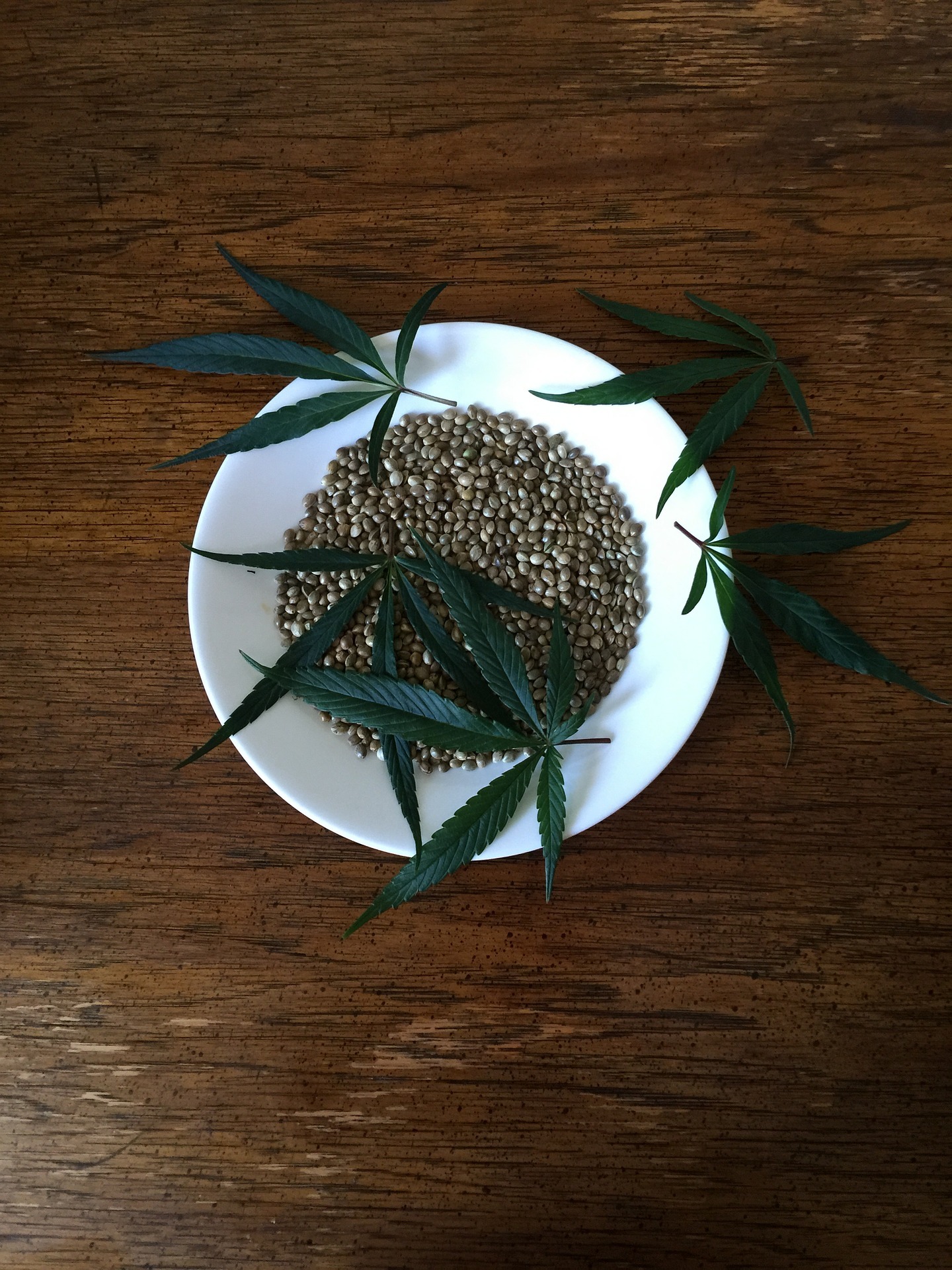 Jak przechowywać nasiona marihuany?