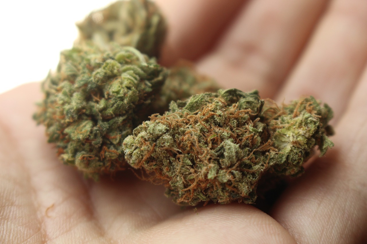Dolegliwości na jakie pomaga medyczna marihuana
